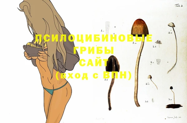бутират Алексеевка
