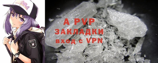 ГАЛЛЮЦИНОГЕННЫЕ ГРИБЫ Ростов