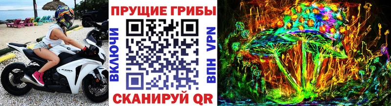 купить цена Грайворон Галлюциногенные грибы GOLDEN TEACHER