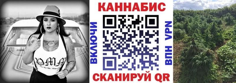 Каннабис сатива  Грайворон 
